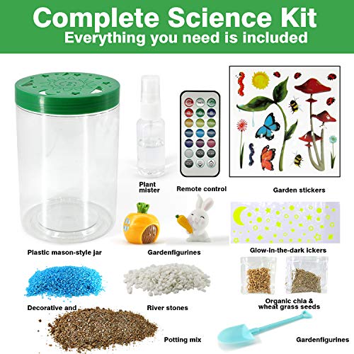 Lightup Terrarium Kit for STEM Activities Science Craft Kits