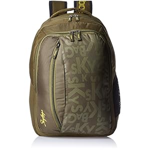 Skybags Router 26 Ltrs Green Casual Backpack (LPBPROU1GRN)