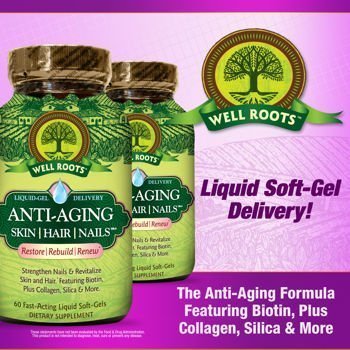 Well Roots Anti-Aging Skin, Hair and Nails, 2 Bottles, Total of 120 Liquid Softgels by Well Roots
