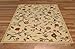 HomeAccess New Garden Ivory Floral Design Rubber Backed Durable Area Rug Carpet 5x7