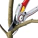 WOLF Garten RR5000 Professional Bypass Pruner/Pruning Shears/Utility Shears 7263007