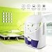 amzdeal Dehumidifier for 323 Sq Ft Home Basement Bedroom Small Dehumidifier with 50 oz Water Tank Auto Off to Remove Damp and Mold