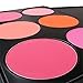 RoseFlower Pro 6 Colors Large Powder Blush / Blusher Makeup Palette Cosemetic Contouring Kit - Ideal for Professional and Daily Use