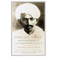 Great Soul: Mahatma Gandhi and His Struggle with India book cover