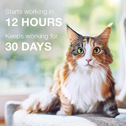 Advantage II Large Cat Flea Treatment & Prevention