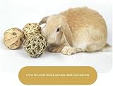 CAMITER 9 Pcs Rabbit Chew Toys Small Animal Grass Balls Rolling Toys view 7