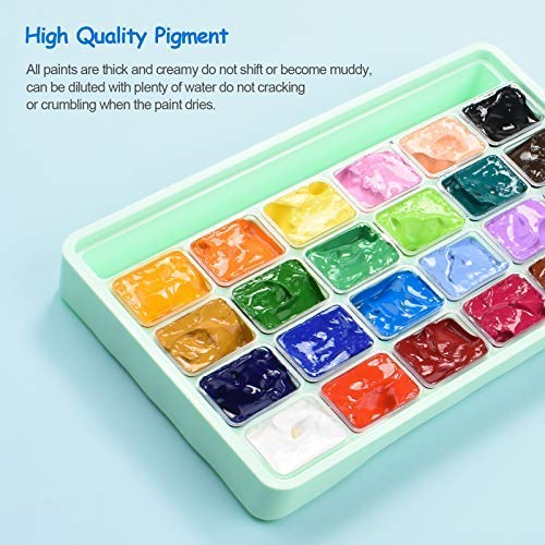 HIMI Gouache Paint Set, 24 Colors x 30ml Unique Jelly Cup Design, Portable Case with Palette, Non Toxic Paints for Artist, Hobby Painters & Kids, Ideal for Canvas Painting for Novelty Gift (Green)