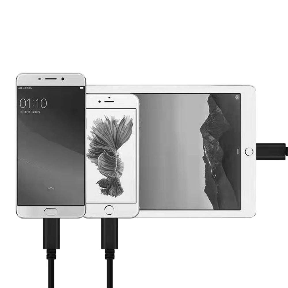 Gin FOXI USB C to USB C Cable(2 Pack) Gin FOXI Type C 3.0 PD Fast Charging Charger Cable Compatible with MacBook,iPad Pro 2018,Pixel 2/3/3a/2XL/3XL/3aXL,Samsung Galaxy Note 10,Chromebook and More