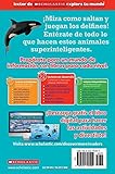 Image de Lector de Scholastic Explora tu Mundo Nivel 2: Delfines fabulosos: (Spanish language edition of Scholastic Discover More Reader Level 2: Dolphin Dive)