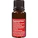 Armor Essential Oil Blend 15 ml - Pure Therapeutic Grade Oil Made by Viola Essentials - Provides Immunity Booster and Antioxidant Defense