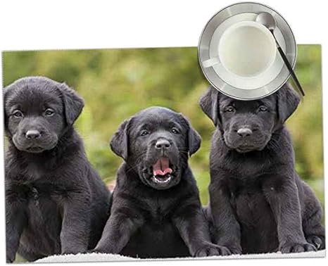 Amazon ランチョンマット ４枚セット ラブラドールレトリーバーズ子犬三変 プレースマット テーブルマット撥水防汚断熱水洗い 簡単滑り止め摩擦 耐える ポリエステル製 家庭用 レストラン用 ランチョンマット オンライン通販