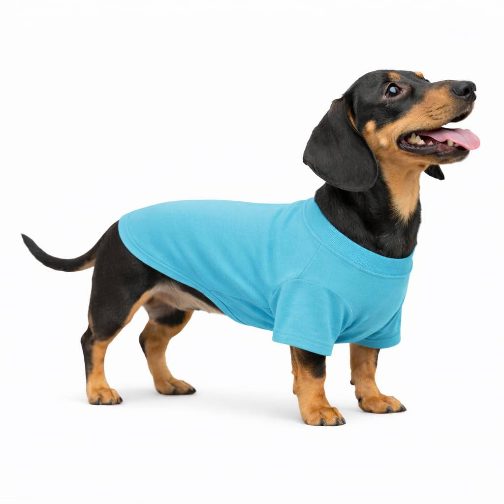 Lovelonglong Pet Clothing Dog Costumes Dachshund Clothes Blank T-Shirt Tee Shirts for Dachshund Dogs,Corgi 100% Cotton Turquoise D-XL