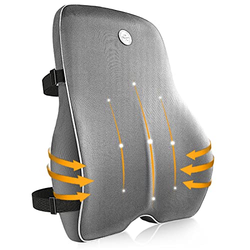 Lumbar Support Pillow for Office Chair, Back Support Pillow for Car