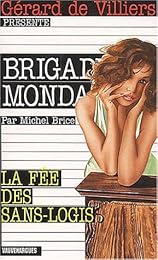 La  fée des sans-logis