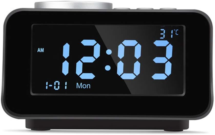 portable speaker with display