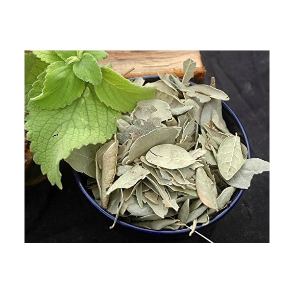 Naturix24 â BoldoblÃ¤tter ganz - 500 g