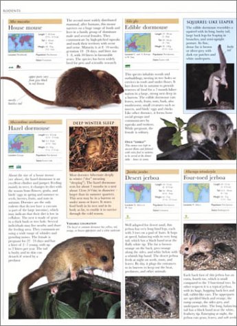 Animal: The Definitive Visual Guide to the World's Wildlife - Thumbnail 5