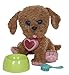 Cabbage Patch Kids Adoptimals - Plush Pet Dog (Labradoodle)