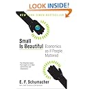Small Is Beautiful: Economics as if People Mattered