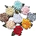 Chenkou Craft 40pcs Ribbon Flowers Bows Carnation Appliques Sewing Craft (Multi)
