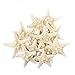 Tumbler Home Certified Starfish Knobby White 2