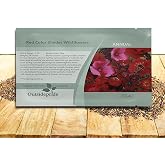 Outsidepride Red Color Shades Mix Wildflower Seeds - 5000 Pcs Annual Easy to Grow, Low Maintenance, Self-Seeding Flower Seeds w/Vibrant Blooms for Pollinator-Friendly Gardens, Containers &amp; Borders