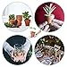 GROWNEER 48-Pack 2” Mini Clay Pots Terracotta Pot with 25 Pcs Plant Labels, Ceramic Pottery Planter Cactus Succulent Nursery Pots, for Indoor Outdoor Plants, Crafts, DIY, Wedding Favor