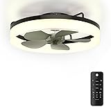 MOTCTQVD 19.7'' Modern Ceiling Fans with Lights and