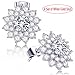 Roslynd 14K White Gold Plated Stud Earrings for Women, Girl, Professional, Hypoallergenic Cubic Zirconia Earring Studs