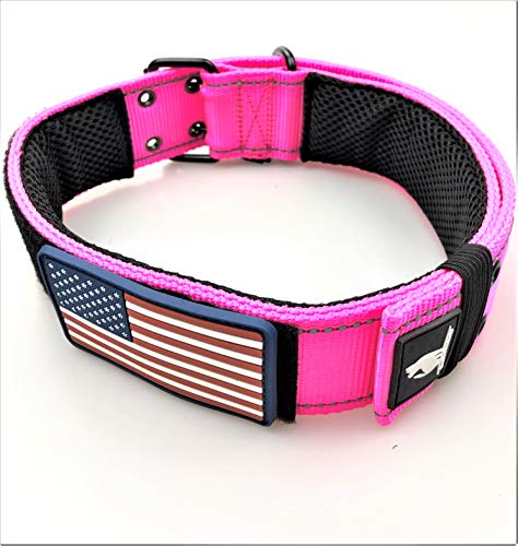 thick nylon dog collars