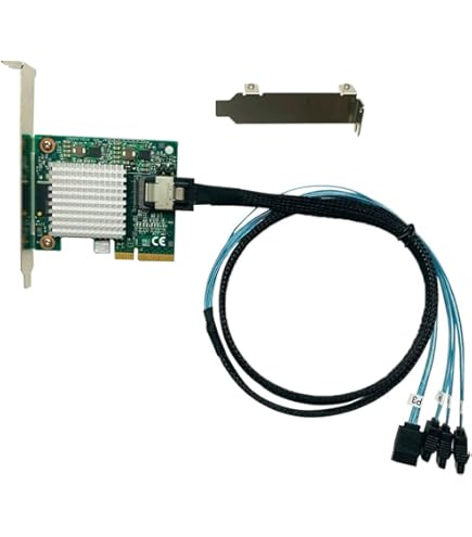 sas　Ｌサイズ 2点 Amazon.com: H1110 81Y4494 SAS-2 RAID Controller Card 6Gbps