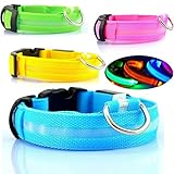 Safety Dog LED Collar Flashing Light up, Glow and bright (Ships From USA) (Medium, Blue)