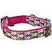 Blueberry Pet 6 Patterns Soft & Comfy Endless Spring Floral Print Designer Padded Dog Collar, Small, Neck 12