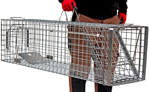 Holtaz Hardy Super Starke Falle Marderfalle Katzenfalle Fuchsfalle Biberfalle Tierfalle Kastenfalle Drahtfalle Waschbärfalle 1 Tür, Größe: 102x34x34 cm Mit Extra Köder – Bild 3