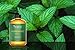 Purest Naturals Peppermint Essential Oil - 100% Pure & Natural Therapeutic Grade - Best Aromatherapy Oil For Diffuser - 30mL 1 Oz