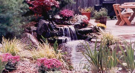 Watergardening How-to-Video - VHS By Aquascape Designs (limited quanities)