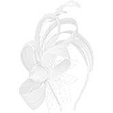 AMCAMI Fascinators Hats with Feather for Women 2026 Derby Hats Small Tea Party Hat with Headband