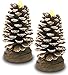 Pinecone Shaped Candles - Set of 2 Flameless Cone Shaped Candle with LED Battery Operated Lights - Pine Cone Decorations