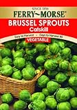 Ferry-Morse Seeds 1237 Brussels Sprouts - Catskill 1.4 Gram Packet