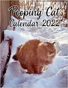 Pooping Cat Calendar 2022: Funny Cats Pooping, 12 Unique/Hilarious