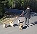 Triple Dog Leash Handle, 3 Way Dog Coupler UTurn Handle with which you can walk 3 dogs on 3 leashes and untangle in seconds. Dolphin Grey.