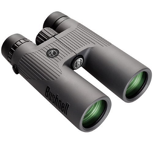 Bushnell NatureView 8x42 Roof Prism Binocular