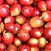 Bodhi Leaf Coffee - Cascara Coffee Fruit Tea (1 LB) Direct Trade, Brewing Instructions Included