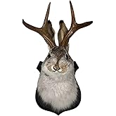 YXMKJOS Jackalope, Jackalope Mount, Deer Head Wall Mount, Resin Deer Head Animal Wall Mount, for Home Wall Decoratio