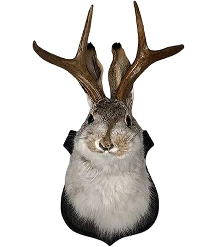 Amazon.com: Valcatch Easter Gift Bunny Head Antlers Wall Hanging