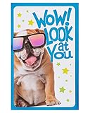 American Greetings Bulldog Junior High Graduation