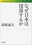 なぜ日本は没落するか (岩波現代文庫)