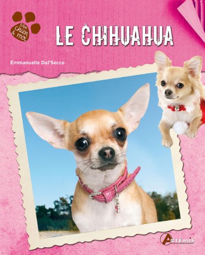 Le  chihuahua