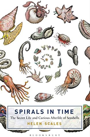 Spirals in Time: The Secret Life and Curious Afterlife of Seashells (Bloomsbury Sigma)