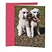 Hallmark Shoebox Friends Birthday Card